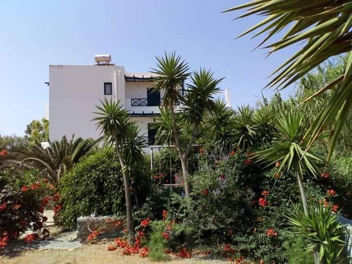 Glafki Studios Syros Mégas Yialós-Nítes Exteriör bild