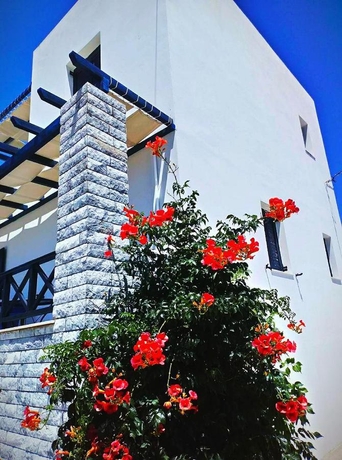 Glafki Studios Syros Mégas Yialós-Nítes Exteriör bild
